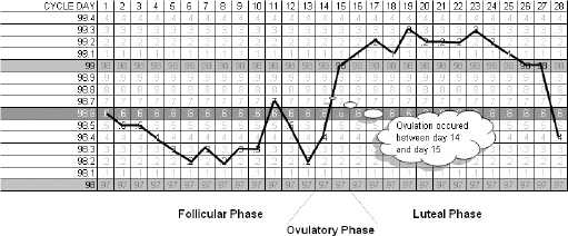 Figure 6.2. Sample fertility forecasting chart