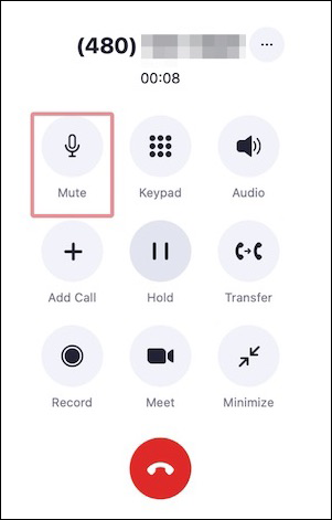 Illustration of the in-call controls displayed when using the Zoom desktop client.