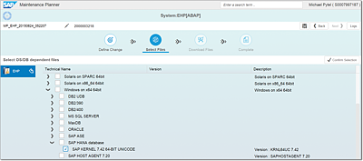 Choosing Your Kernel Stack with the SAP S/4HANA Finance Stack