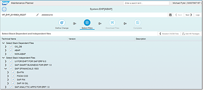 Correctly Defined ABAP Components for the SAP S/4HANA Finance Installation