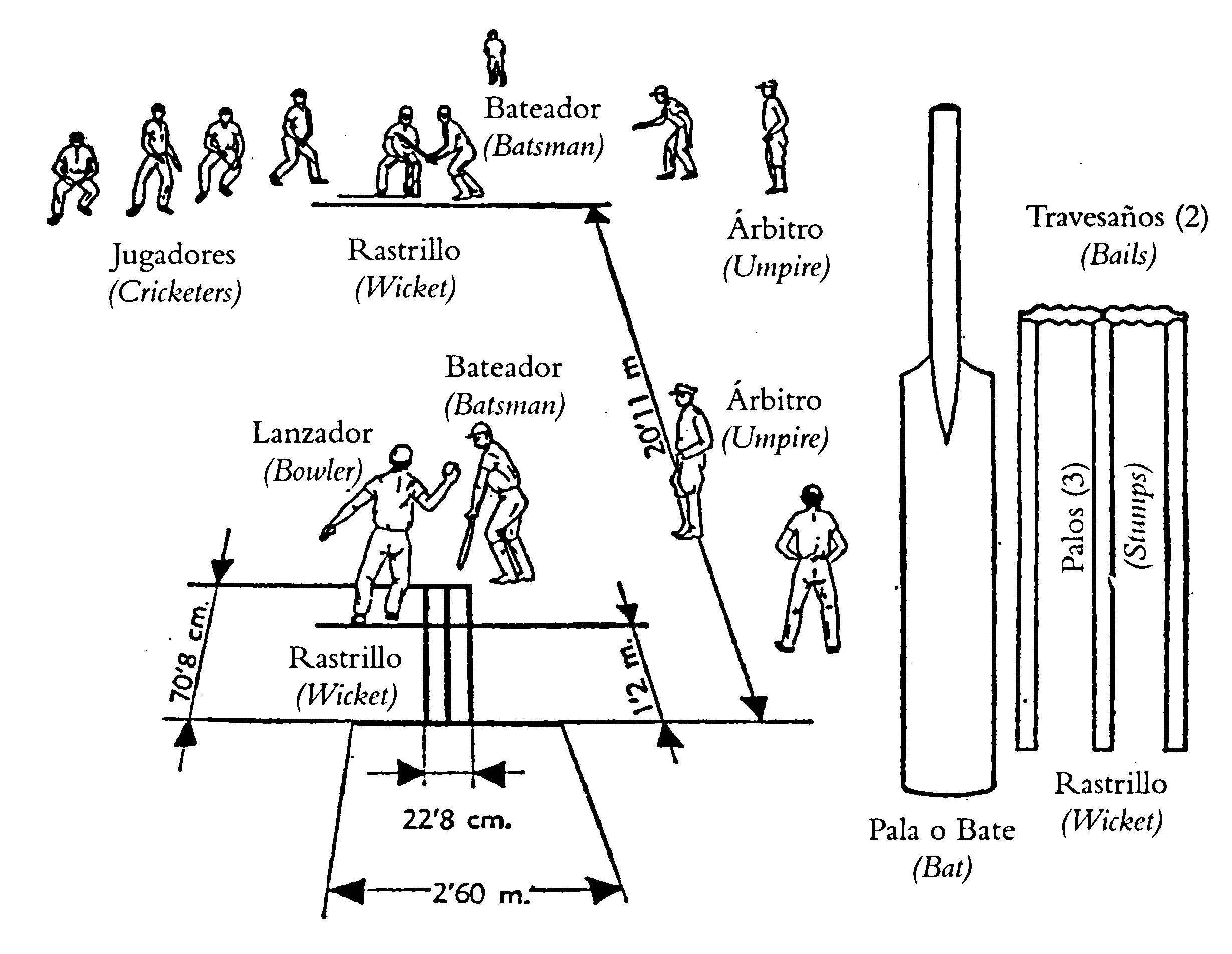 Dibujo de las reglas del críquet