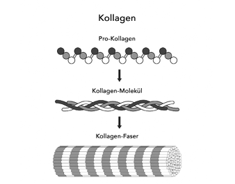 Ein Bild, das Text, Screenshot, Design enth‰lt.Automatisch generierte Beschreibung