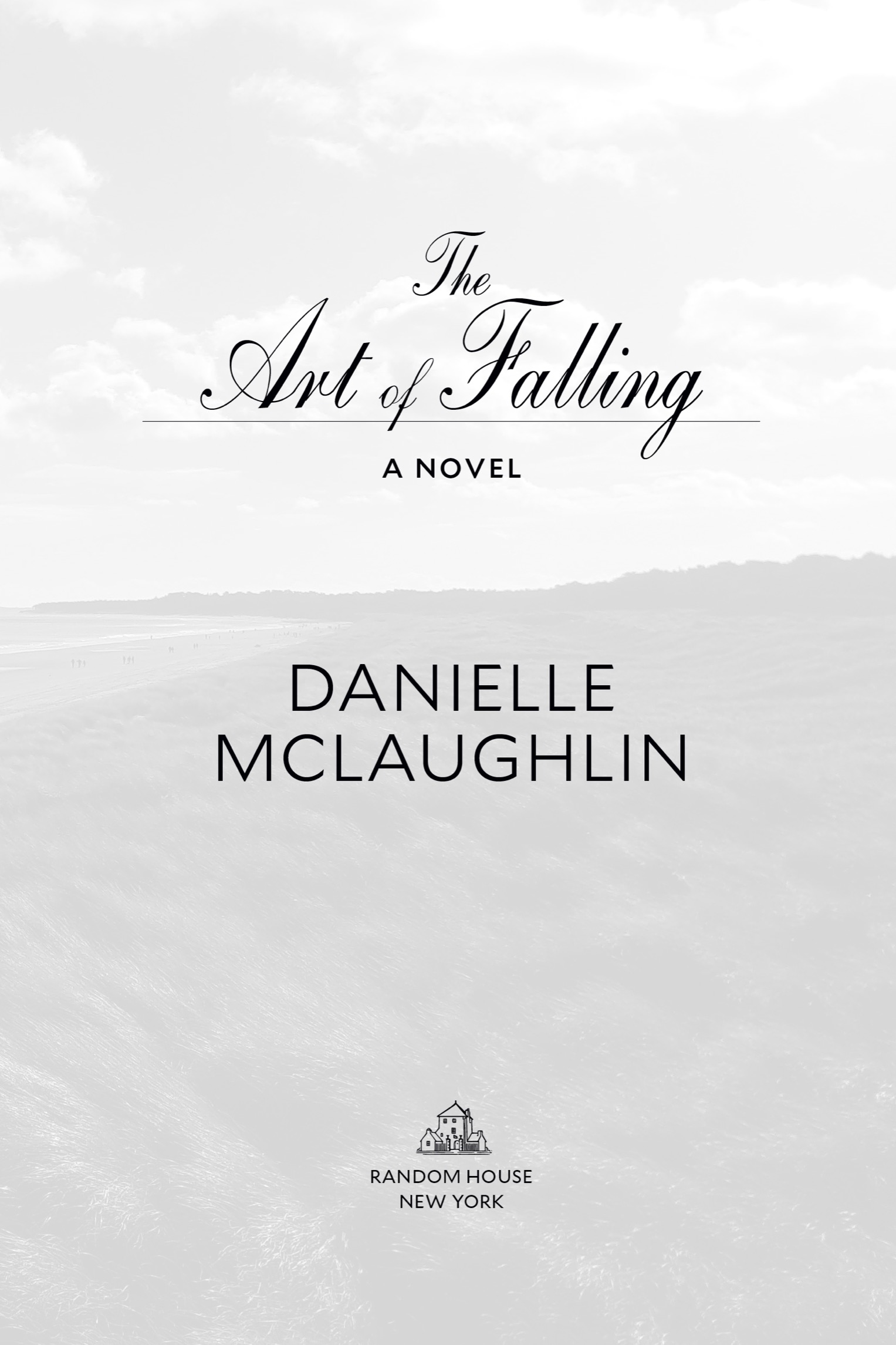 Book Title, The Art of Falling, Subtitle, A Novel, Author, Danielle McLaughlin, Imprint, Random House