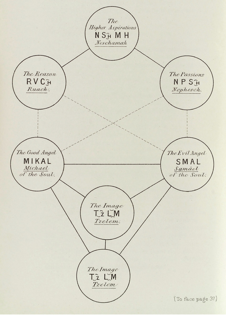 10. La Formazione dell’anima.