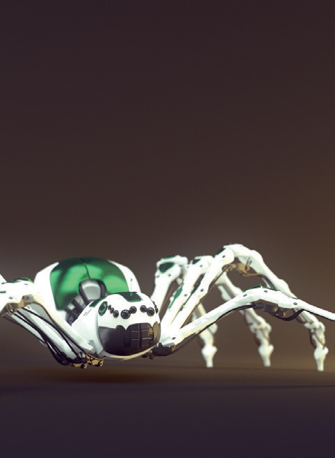 The Spider Bot