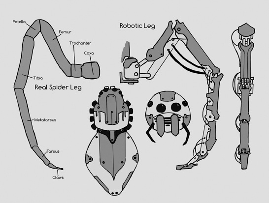 Spider concept art. Because the legs are very complex, the design of the body is kept simple to make it easier for the viewer to understand the overall image.