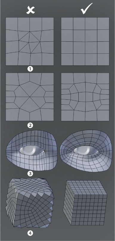 Topology dos and don’ts: Avoid triangles 1, avoid poles 2, create loops around important forms 3, and align edges with the forms, not against them 4.