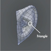 This triangle hidden in the corner of an ear isn’t likely to cause much trouble.