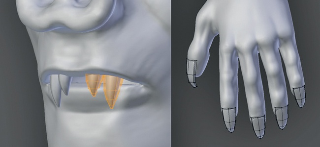 Modeling the teeth and nails