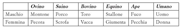 Combinatoria