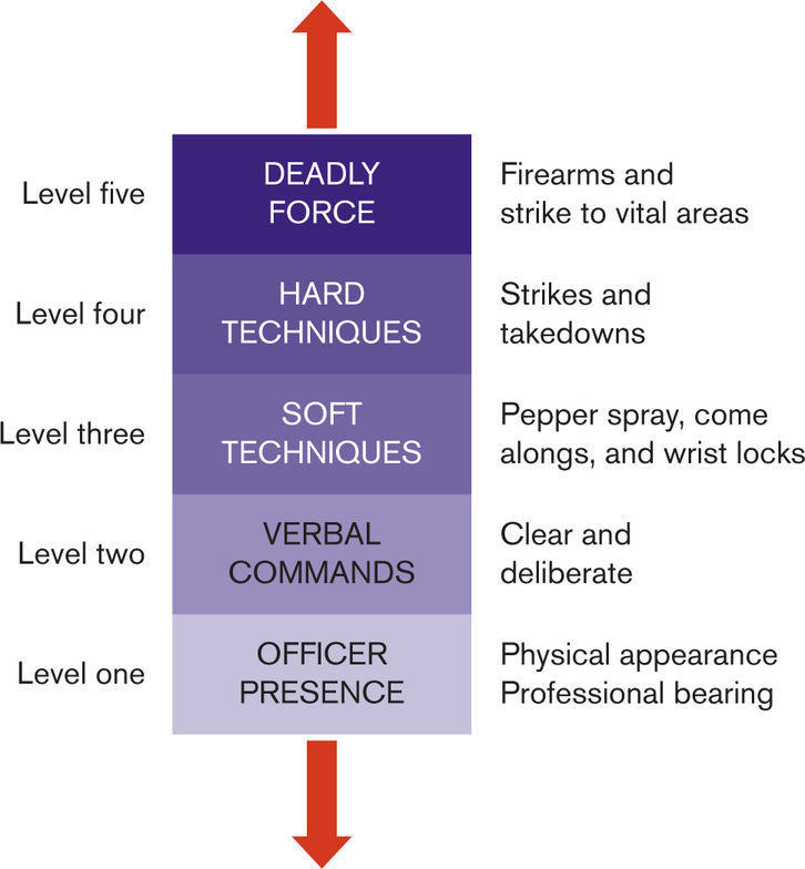 Figure 28