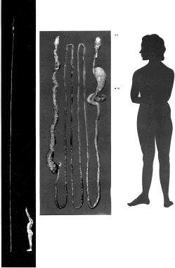 Figure202-0720scan