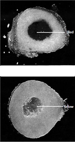 figure202-1220scan