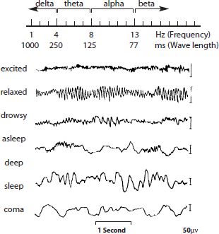 Figure207-0420scan