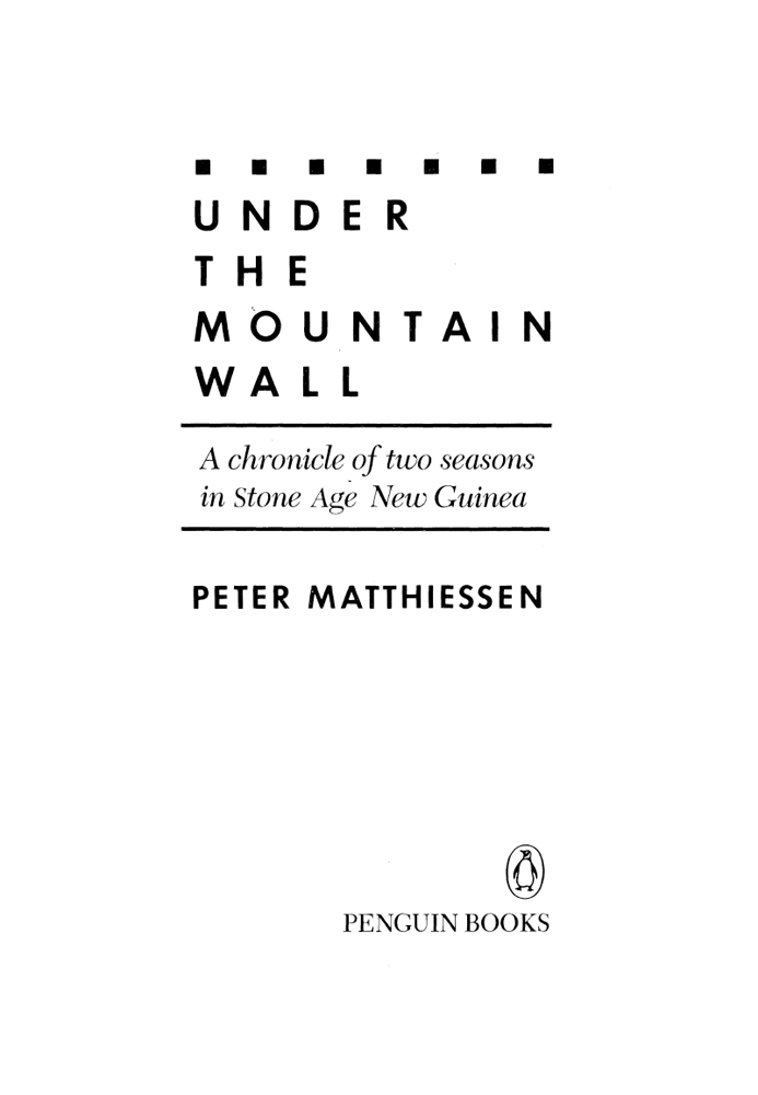 Cover image for Under the Mountain Wall