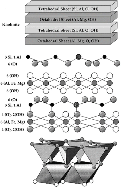 A310425_1_En_5_Fig7_HTML.gif