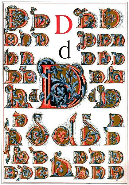 D d