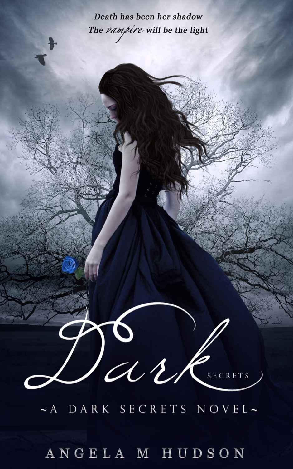 Dark Secrets Book 1