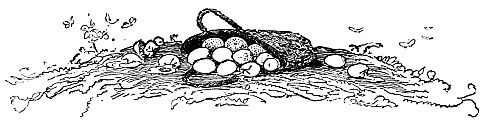 basket of eggs