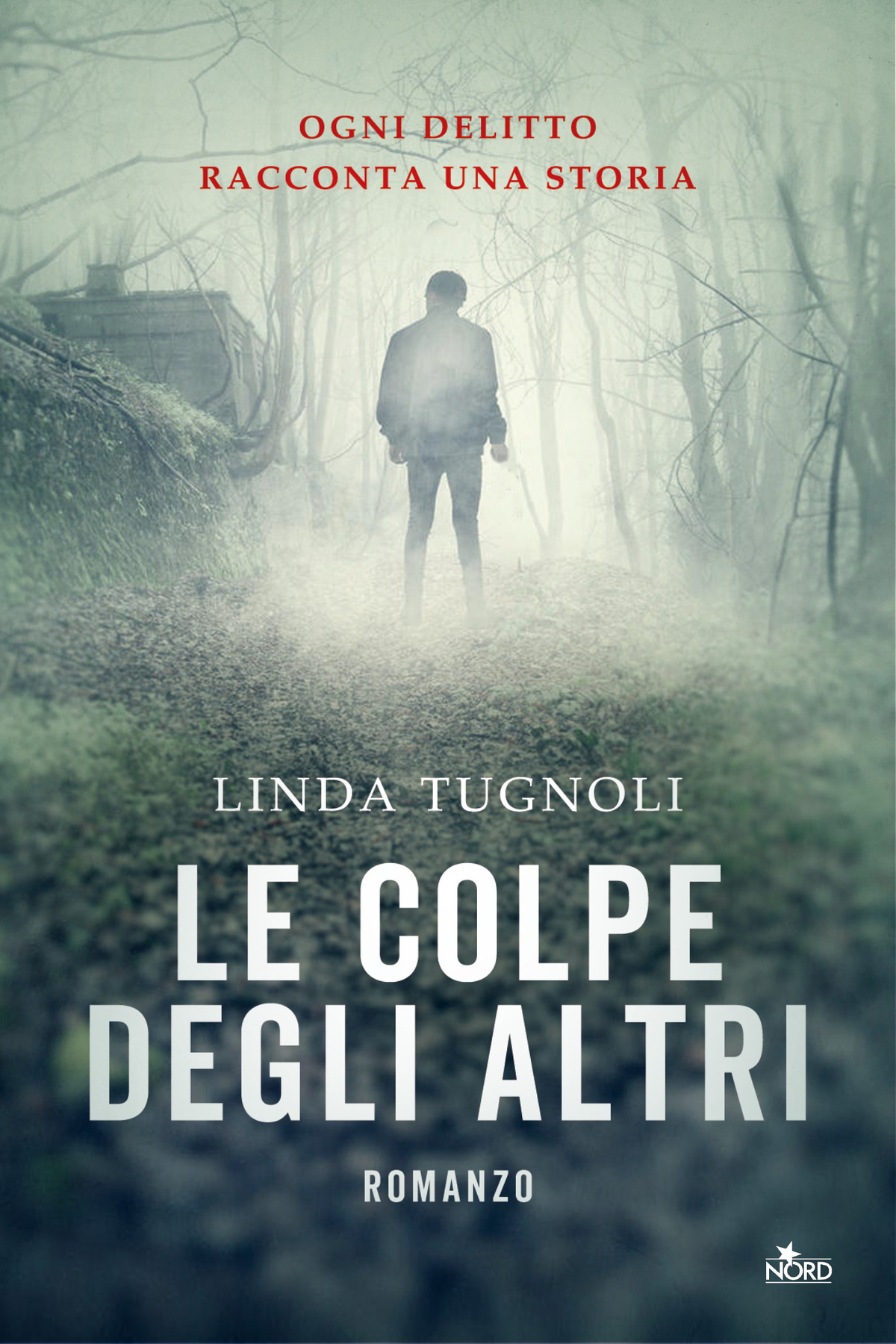 Immagine di copertina. Linda Tugnoli: Le colpe degli altri. Casa Editrice Nord s.u.r.l.