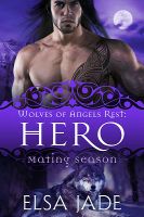 Mini-Cover for Hero