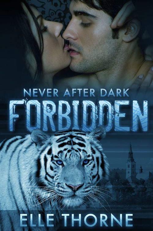 Cover for Forbidden