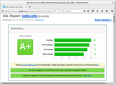 Online-Überprüfung der
  HTTPS-Konfiguration