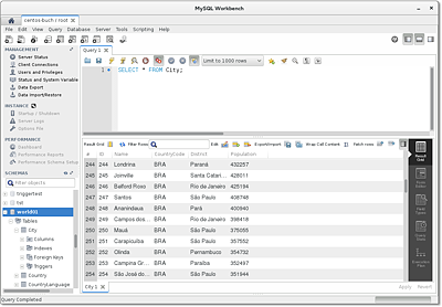 Die MySQL Workbench