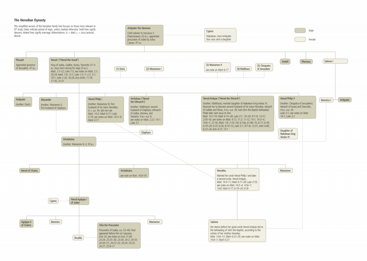 The Herodian Dynasty