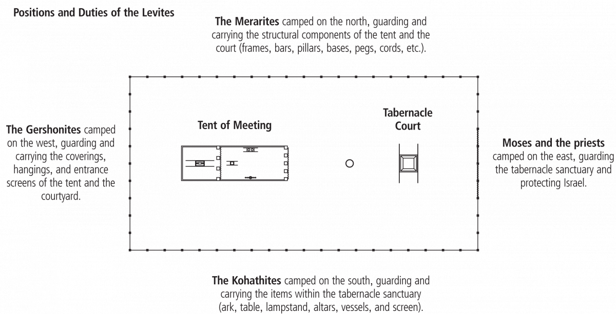 Positions and Duties of the Levites