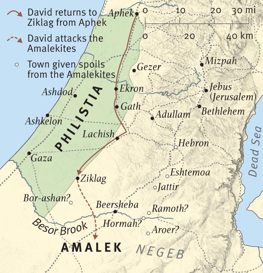 David Recovers Plunder from the Amalekites