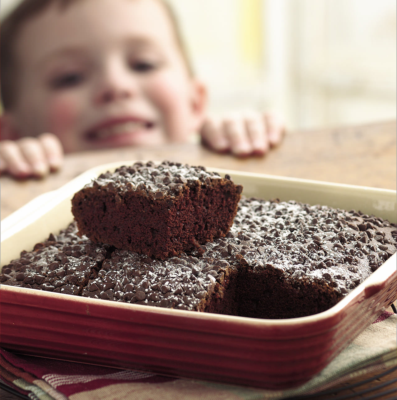 Double-Chocolate Snack Cake