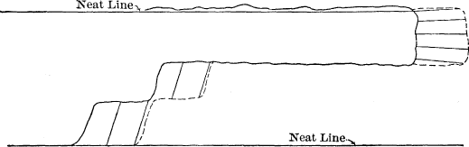 longitudinal section