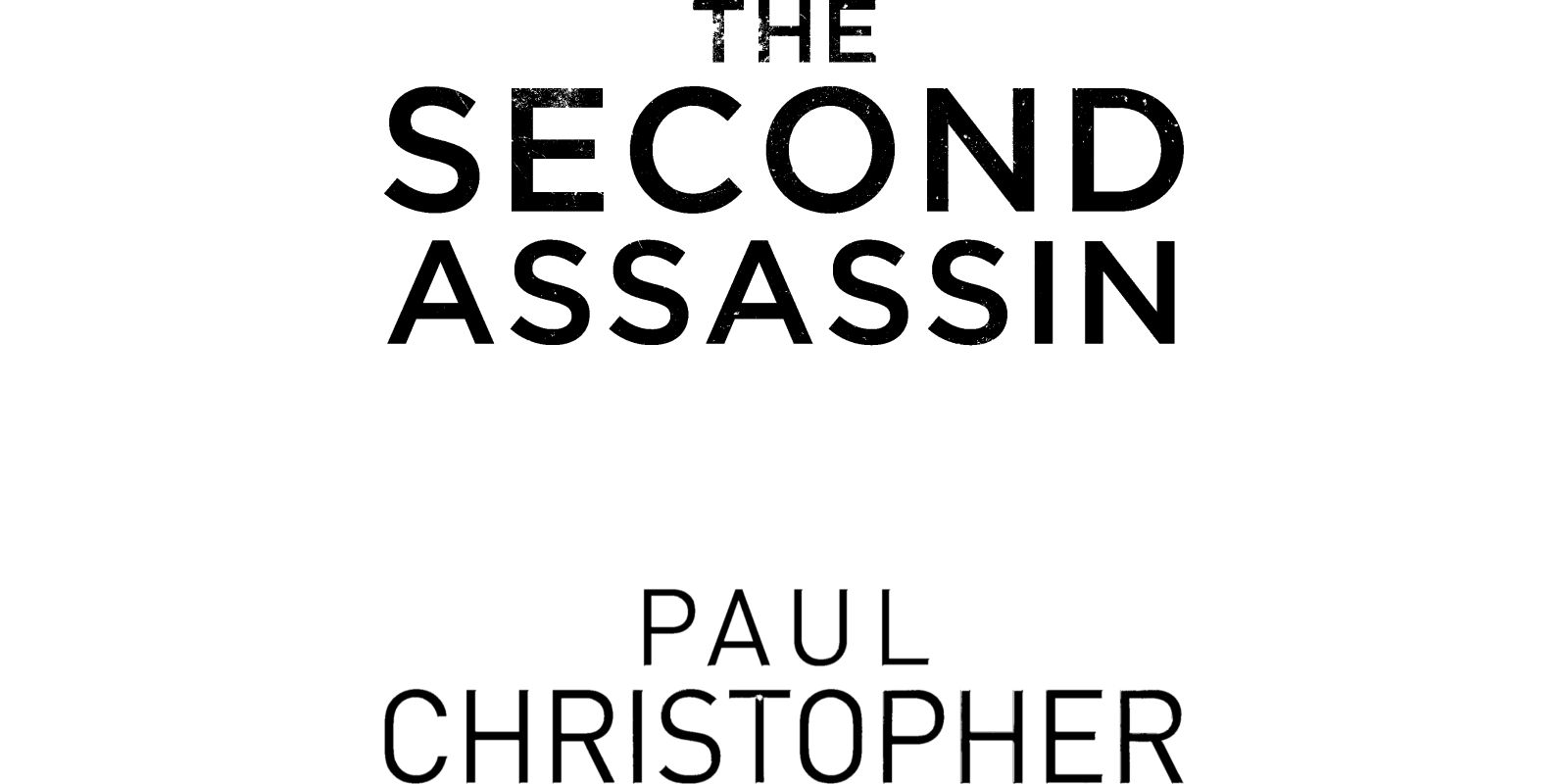 The Second Assassin by Paul Christopher