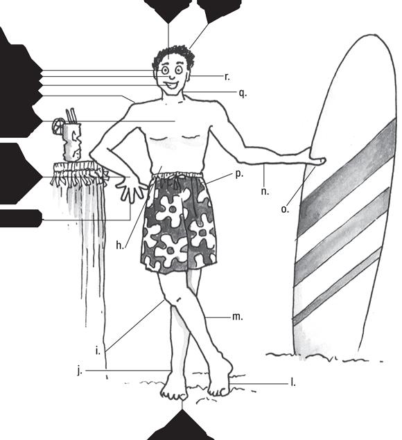 Schematic illustration of a man with a surfing board.