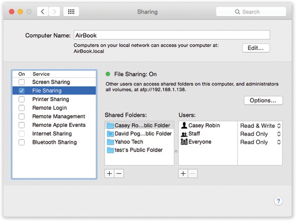 Here’s the master switch that makes your Public folder (and any other folders you designate) available to other people on the network. You can edit the Computer Name, if you like. Your Mac will appear on the network with this name. Make it nice and descriptive, such as Front Desk iMac.