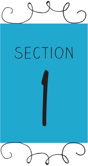 section1