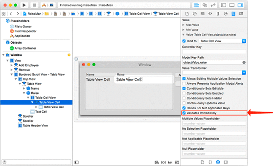 Enabling validation for the Raise text field