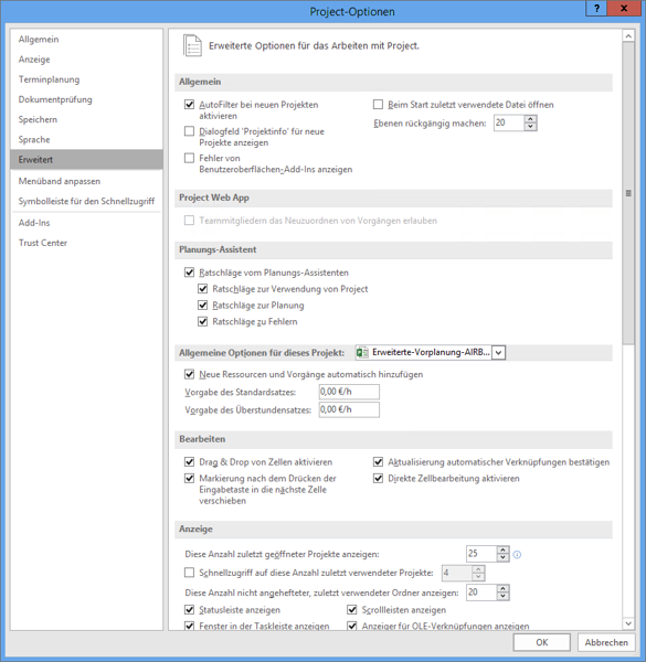 Dialog »Project-Optionen • Erweitert«