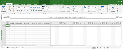 Bearbeitungssicht in Microsoft Project 2016