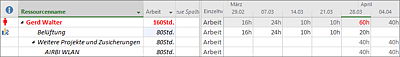 Auslastung aus anderen Projekten in der Ansicht »Ressource: Einsatz«