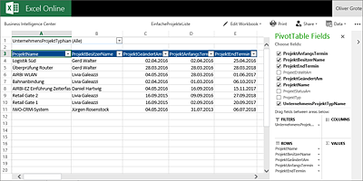 Anzeige einer Excel-Arbeitsmappe im Browser