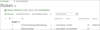 Risikoliste eines Projekts auf der Projektwebsite