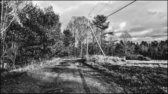 The Tote Road in Waldo County, near Belfast, Maine.