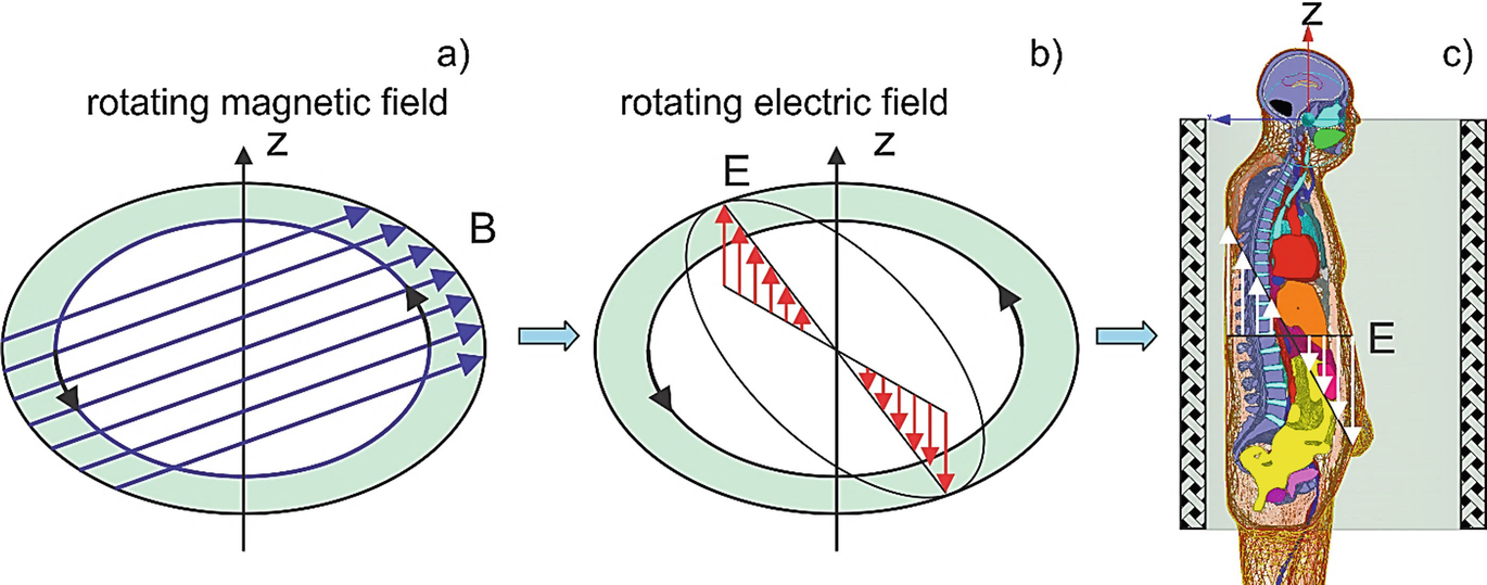 ../images/473436_1_En_5_Chapter/473436_1_En_5_Fig2_HTML.png