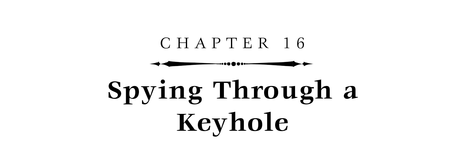 Chapter 16: Spying Through a Keyhole