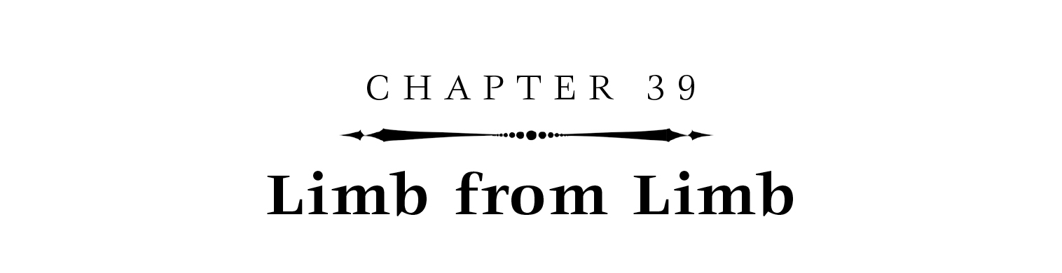 Chapter 39: Limb from Limb