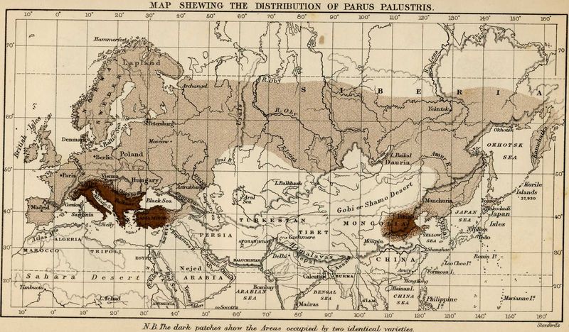 Map shewing the distribution of Parus palustris