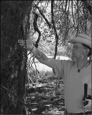 Dwight examines the chain from the town’s infamous “jail tree.”