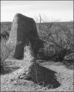 Some of the ruins at the Presidio.